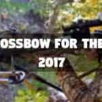 Best Crossbow For The Money