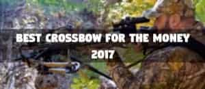 Best Crossbow For The Money