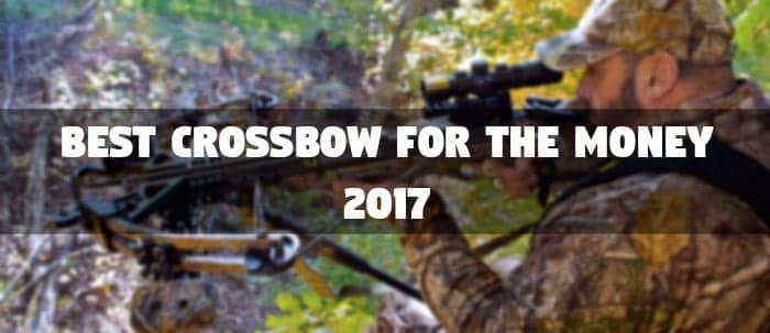 Best Crossbow For The Money Reviews Buying Guide Marksman HQ   Best Crossbow For The Money FI 