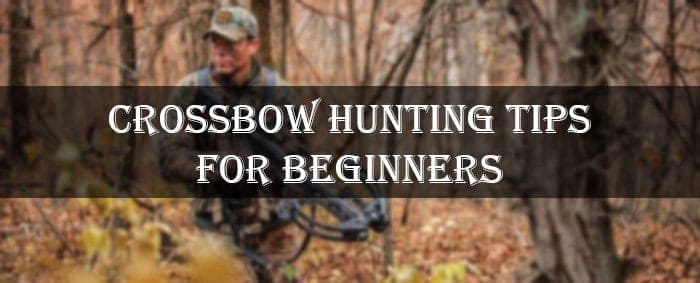 Crossbow Hunting Tips For Beginners