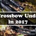 Best Crossbow Under 500 FI