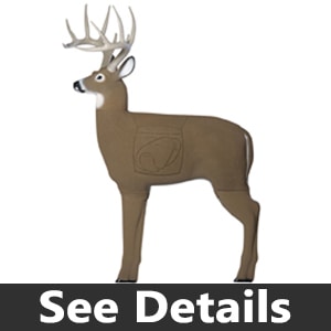 Field Logic Glendel Buck 3D Archery Target 71000 Review