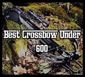 Best Crossbow Under 600
